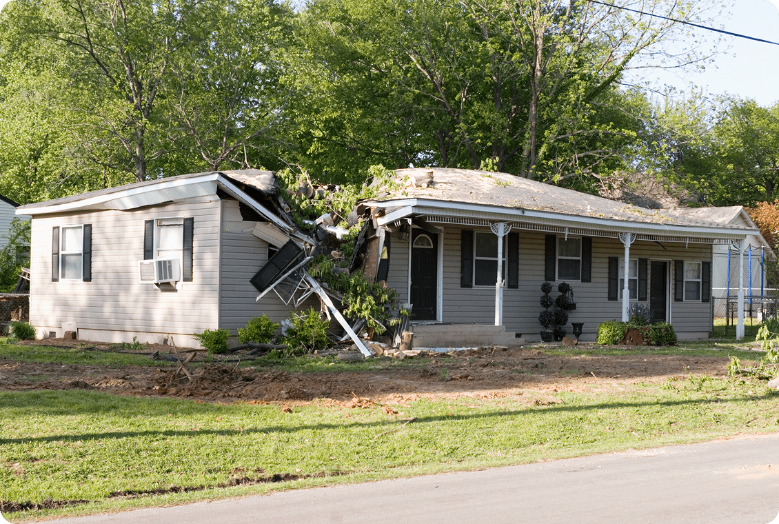 House damaged by fallen tree